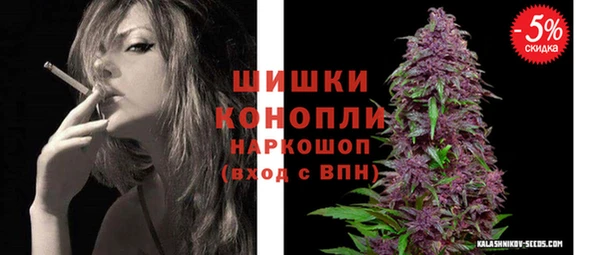 шишки Алзамай