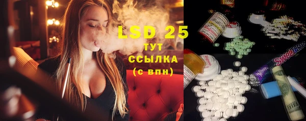 шишки Алзамай