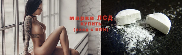 хмурый Алексин