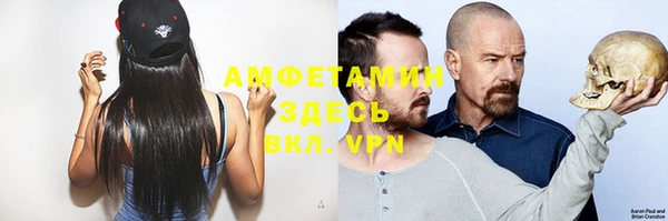 шишки Алзамай