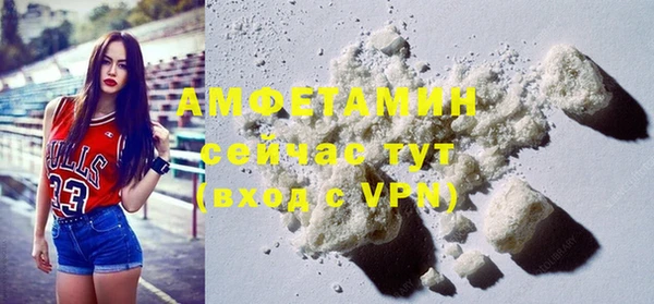 хмурый Алексин