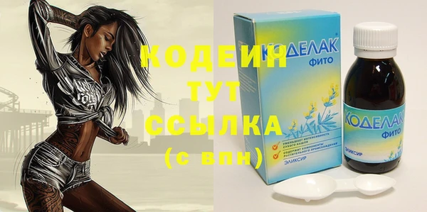 хмурый Алексин