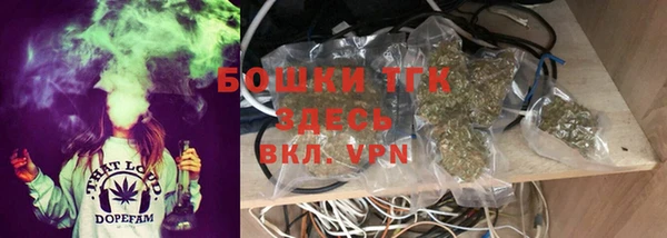хмурый Алексин