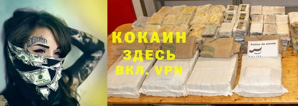 хмурый Алексин