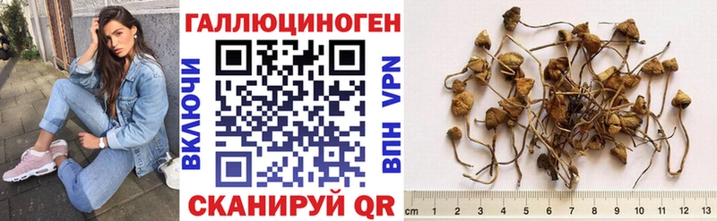 цена наркотик Белорецк Псилоцибиновые грибы Psilocybine cubensis